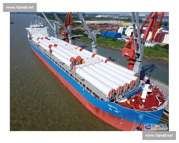 以渠道拓展为核心驱动构建多元协同增长新格局战略与市场发展路径