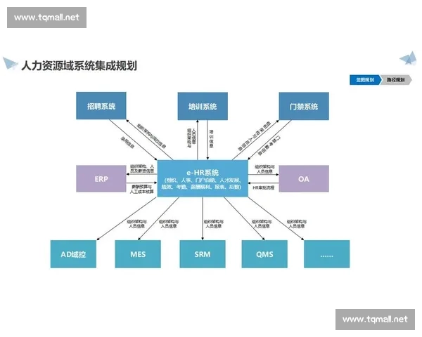 以激励机制为核心驱动组织效能提升与创新活力释放的新路径研究